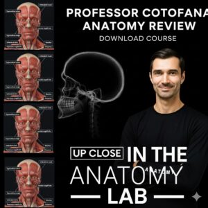 Professor Cotofana Anatomy review